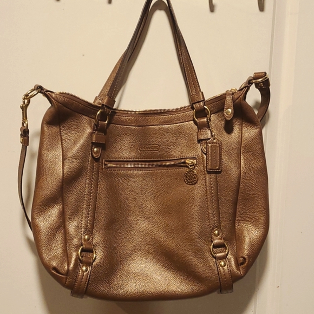 Beautiful Bronze handbag